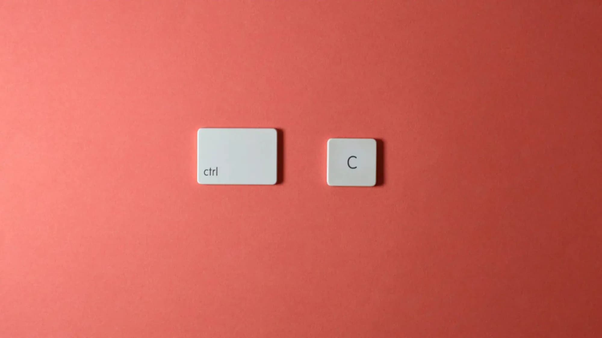 Why Duplicate Content Harms Your SEO